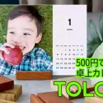 【2021年】TOLOT卓上カレンダーの評判と口コミ 【500円で簡単に作れる】4月からでもOK