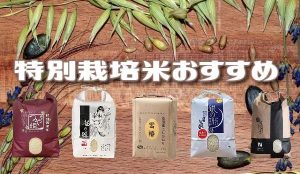 お米が安いおすすめ通販&特別栽培米お取り寄せ人気ランキング16選【2023令和4年産】